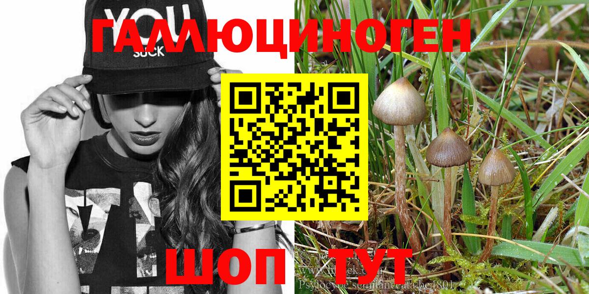 Галлюциногенные грибы Psilocybe  Галлюциногенные грибы мухоморы  Вход с VPN  Набережные Челны 