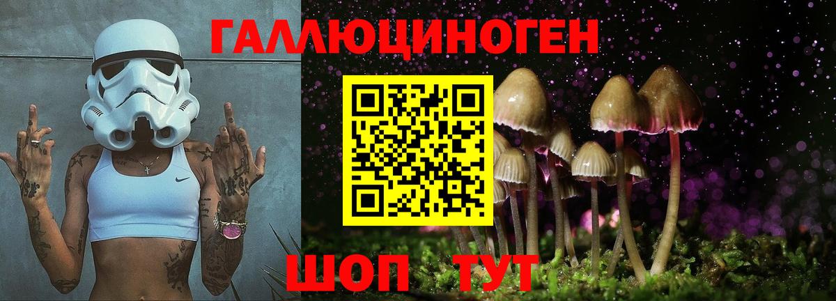 Галлюциногенные грибы мицелий Набережные Челны